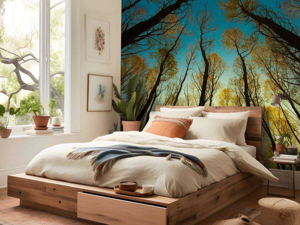 Sunrise between tall trees