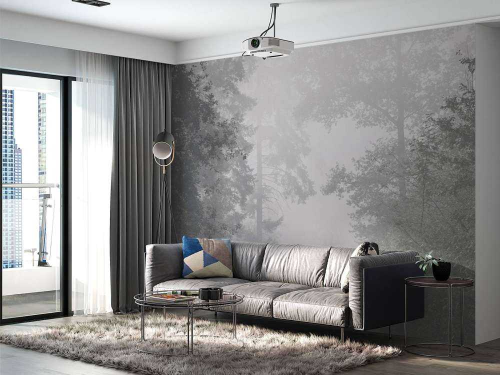 Road through misty forest