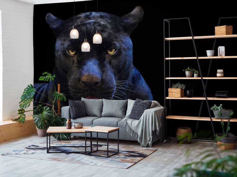 Close-up panther