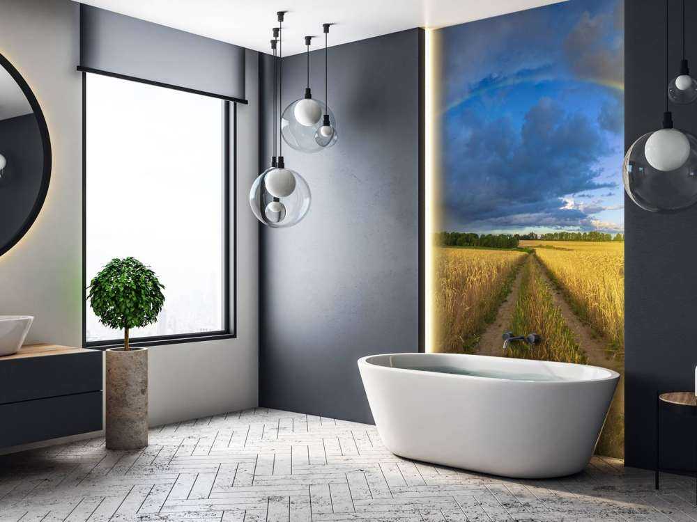 Rainbow over a wheat field