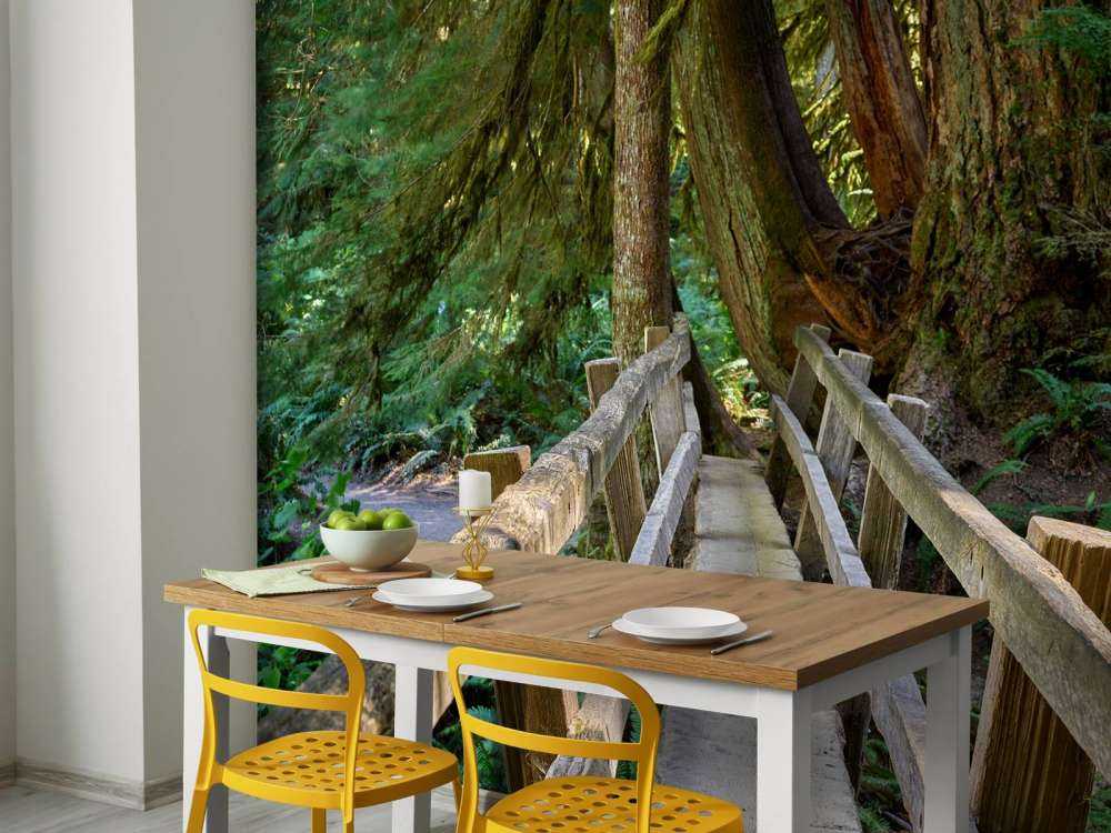 Wooden bridge through the forest 
