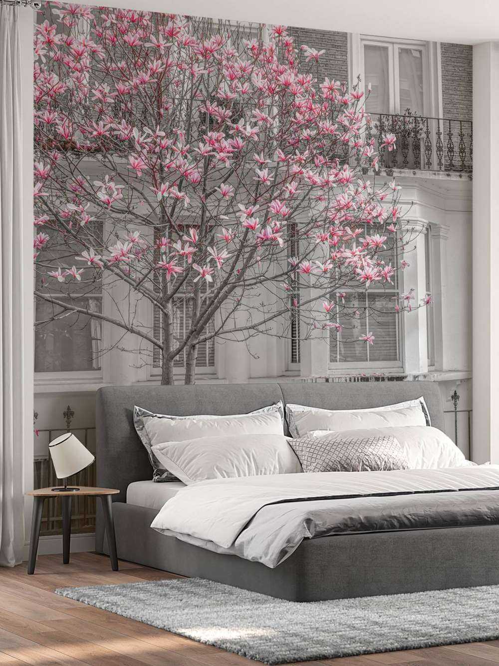 Flowering magnolia tree