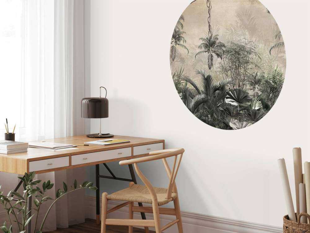 Tropical forest in mist