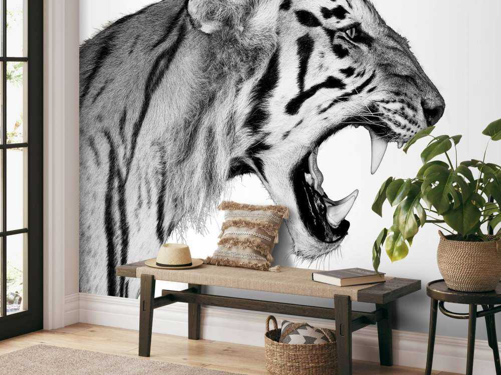Roaring tiger white