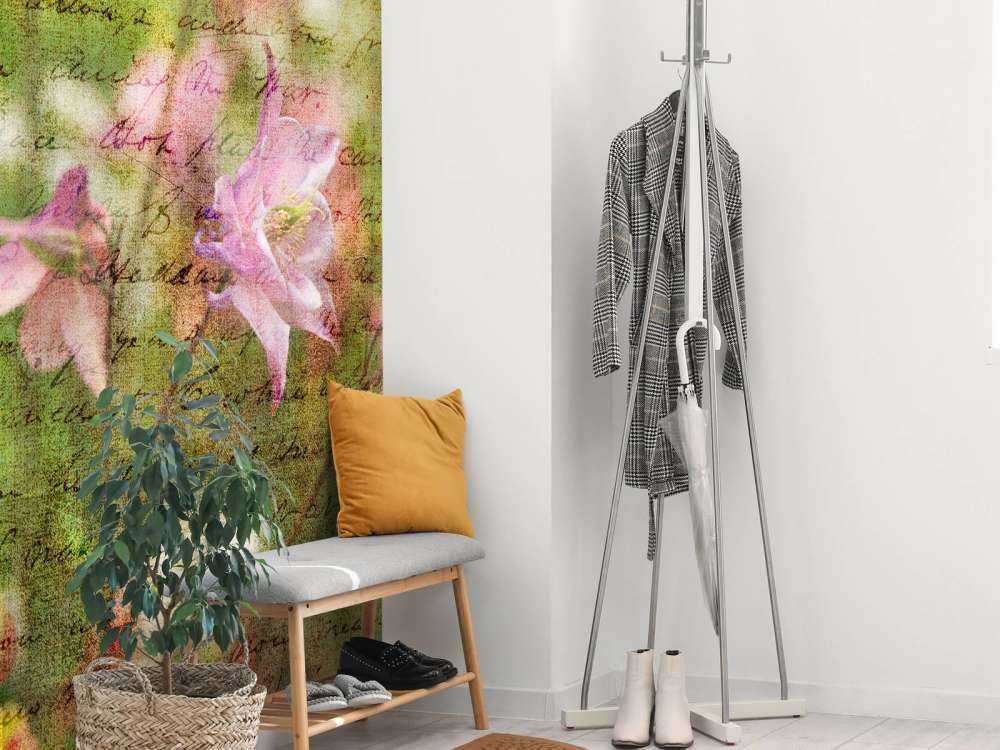 Colorful Aquilegia flowers on plants in garden