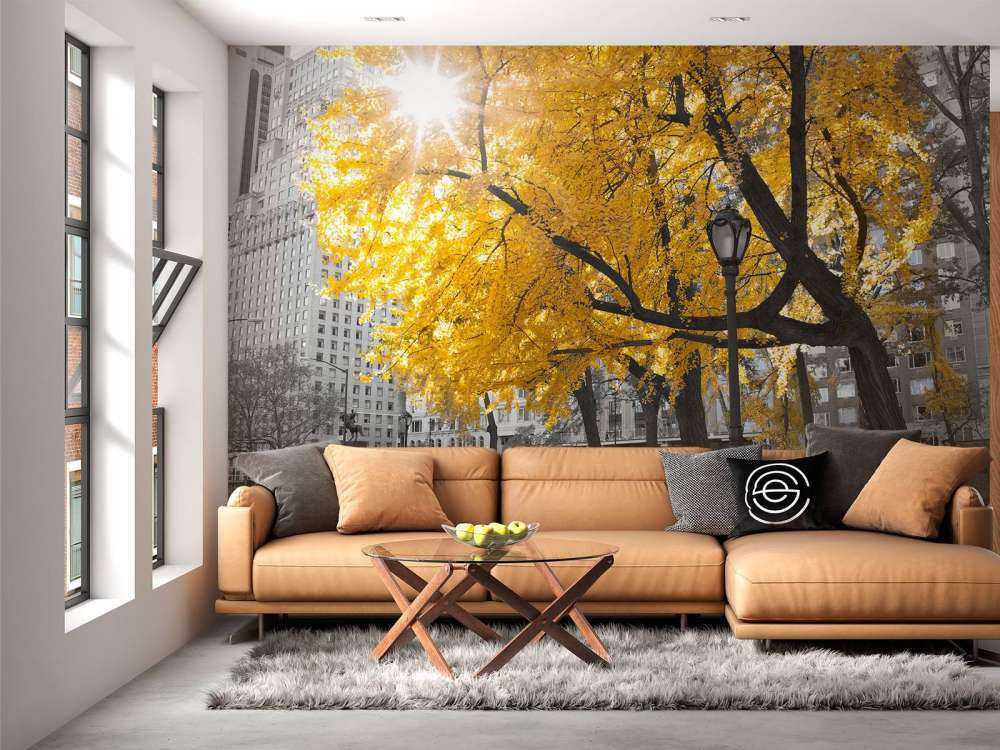 A path through Central Park