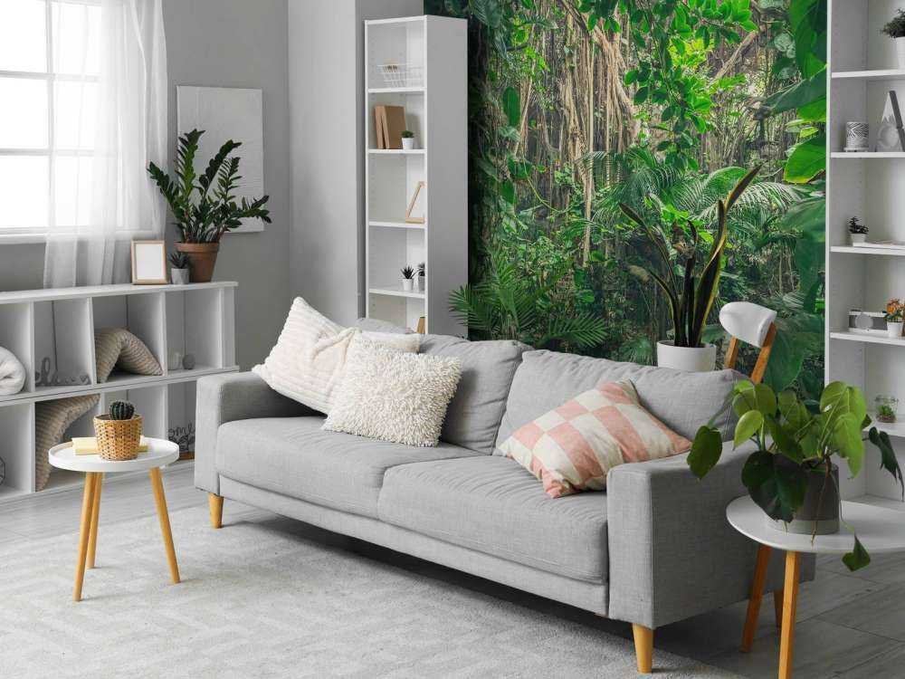 Branches in the rainforest