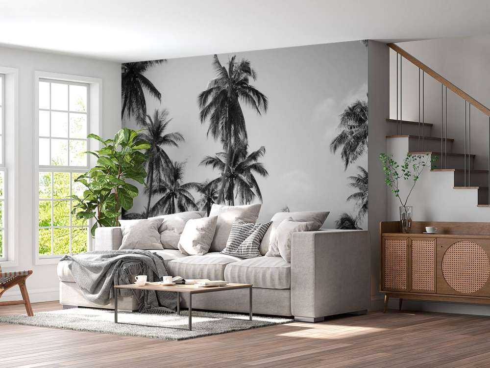 Palm trees in black and white