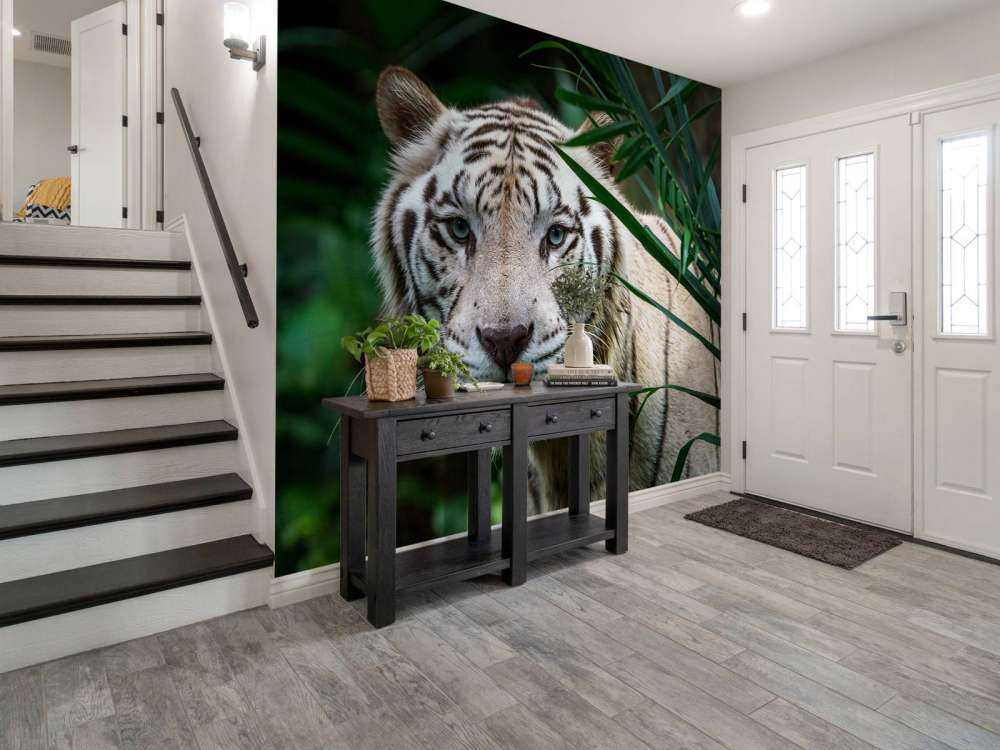 White tiger