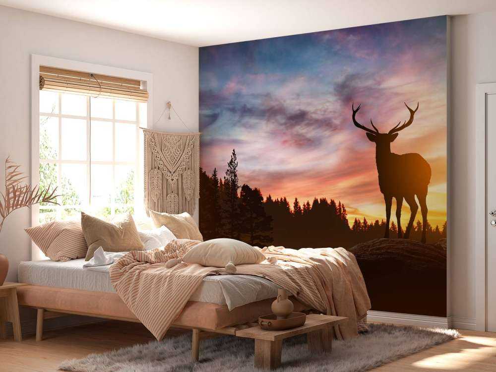 Deer with sunset