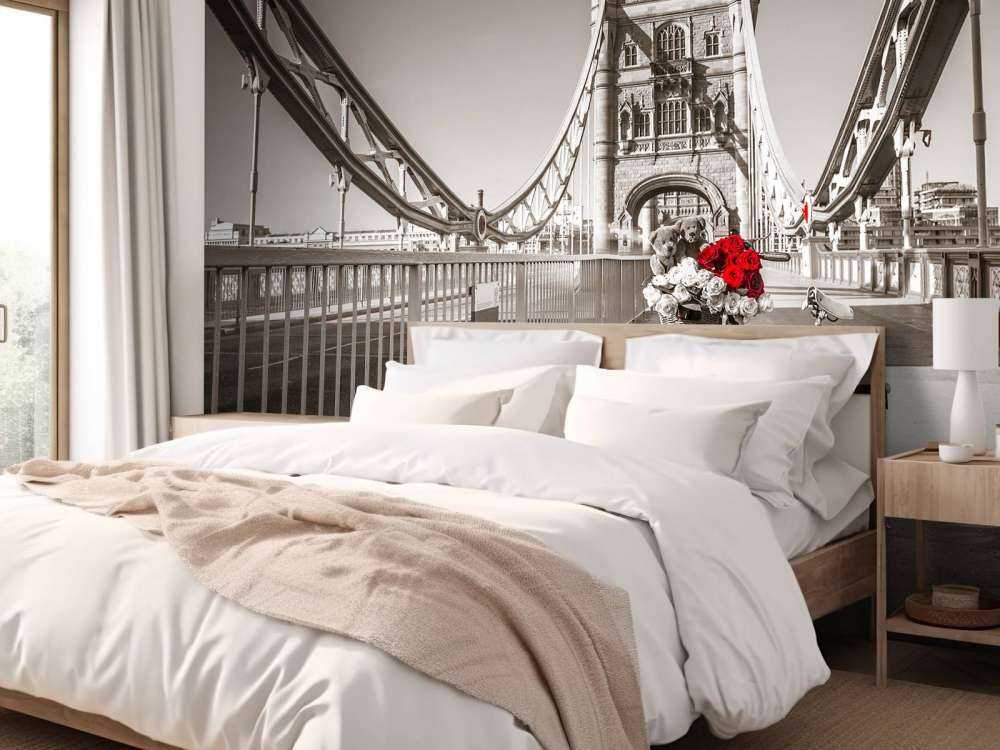 Puppies in a bicycle basket