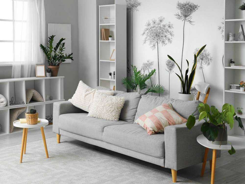 Cow parsley in black and white