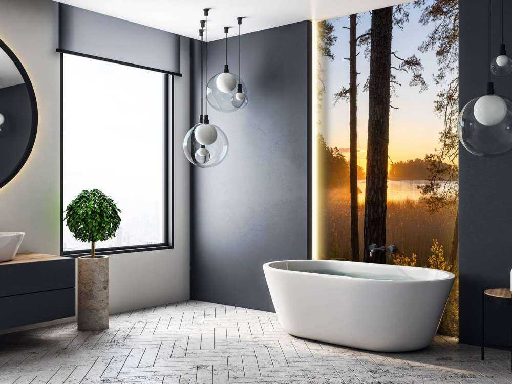 Forest during sunset