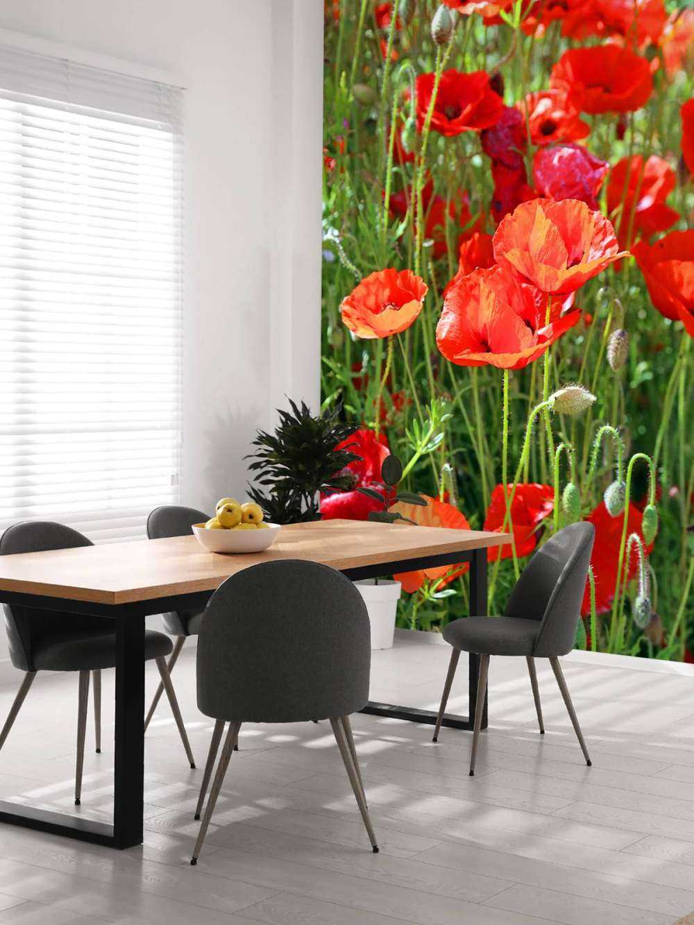 Close-up of poppies