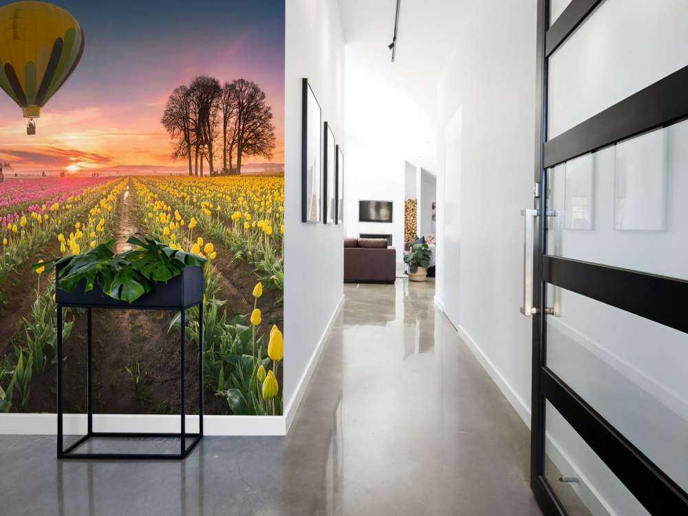 Pink yellow tulip field