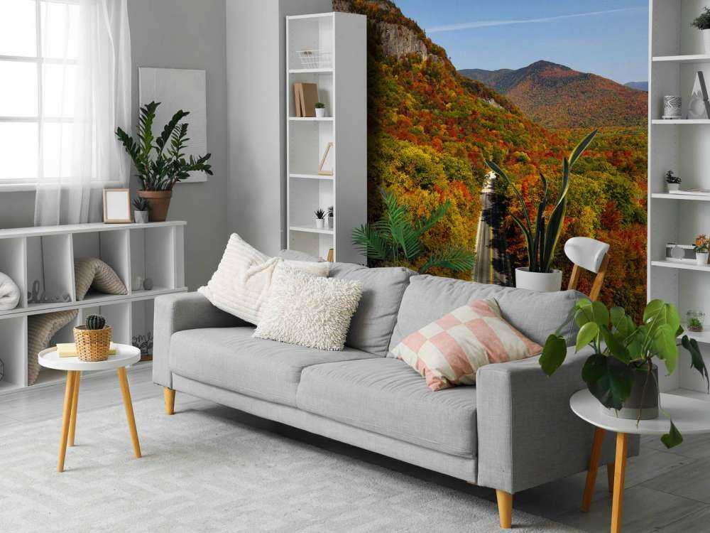 Road through the autumn landscape