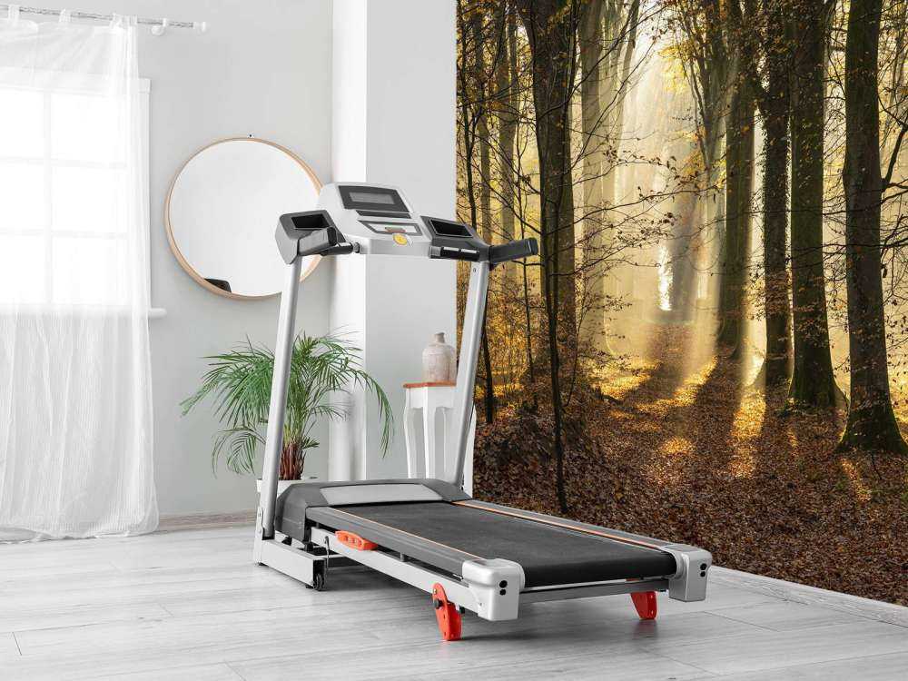 The forest of Crécy