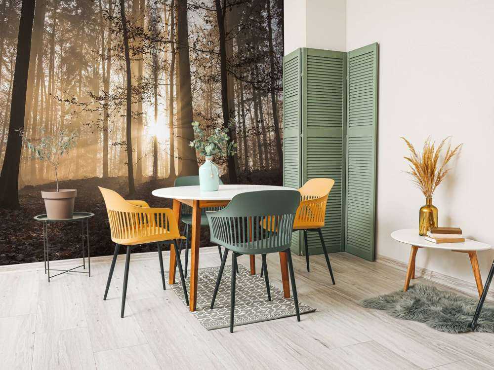 Sunshine in a misty forest