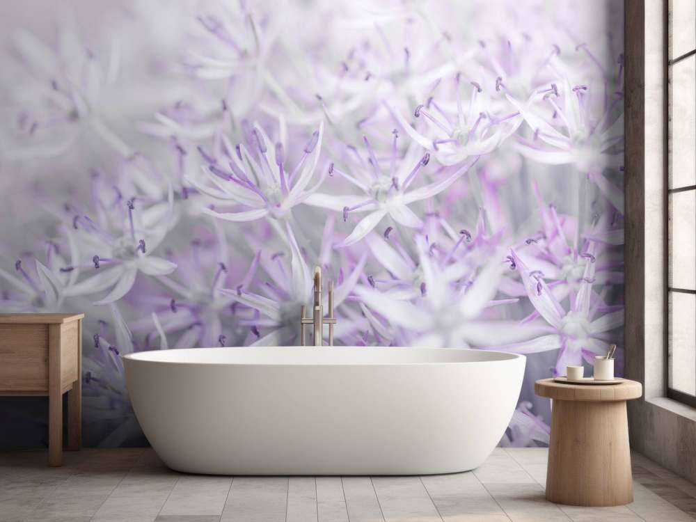 Allium flowers close-up