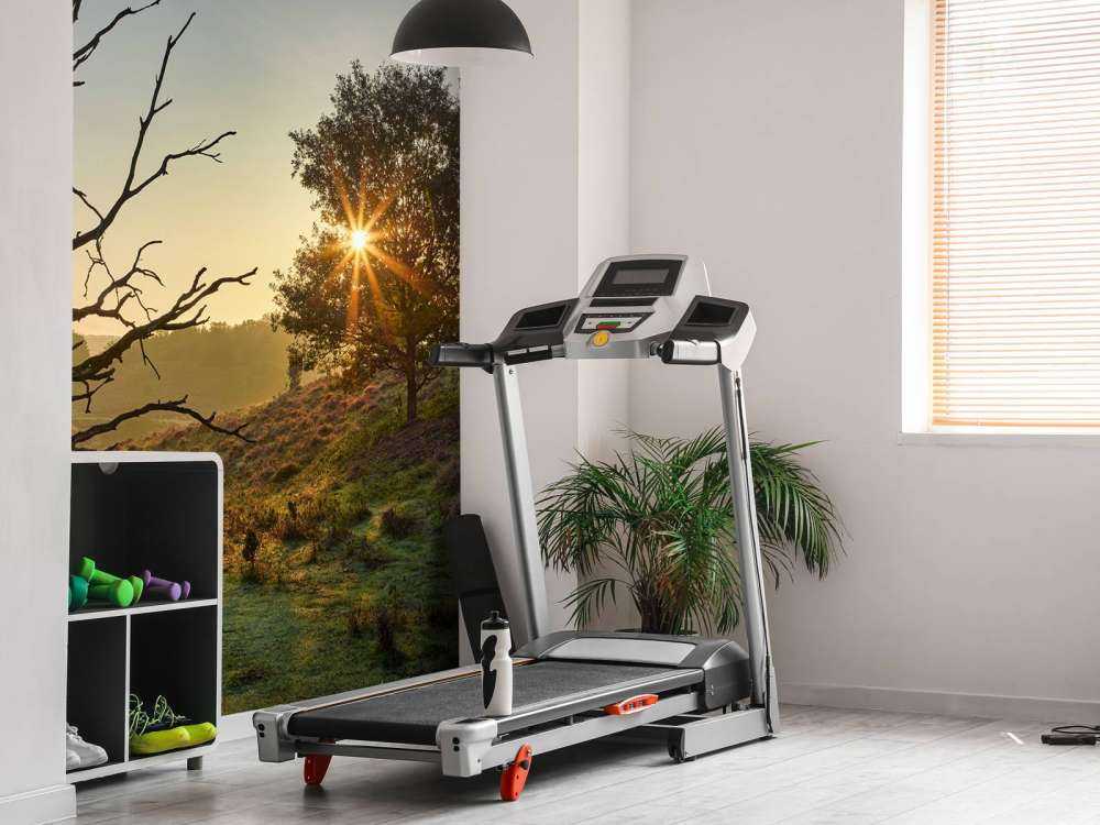 Rising sun on the heath