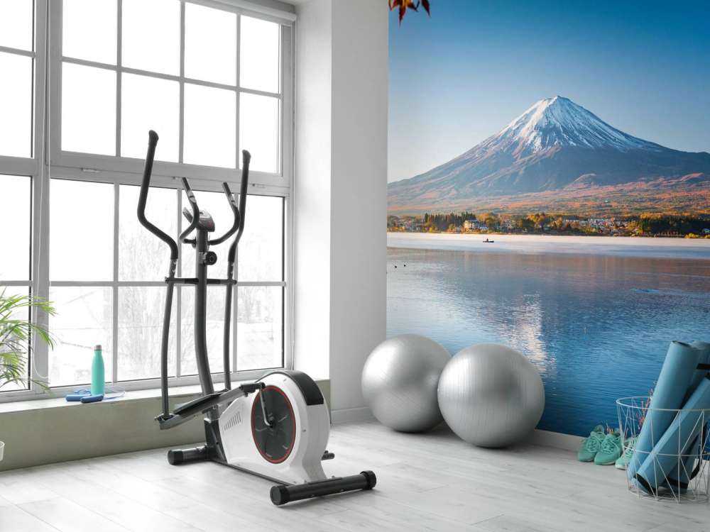 Mount Fuji in the afternoon