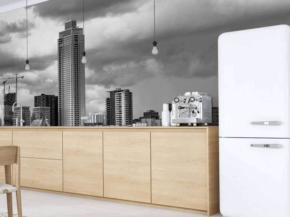 Skyline Rotterdam (Westerkade) from Katendrecht (black and white) 