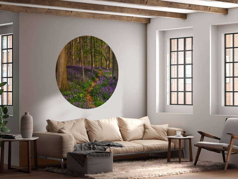 Path through a forest with hyacinths