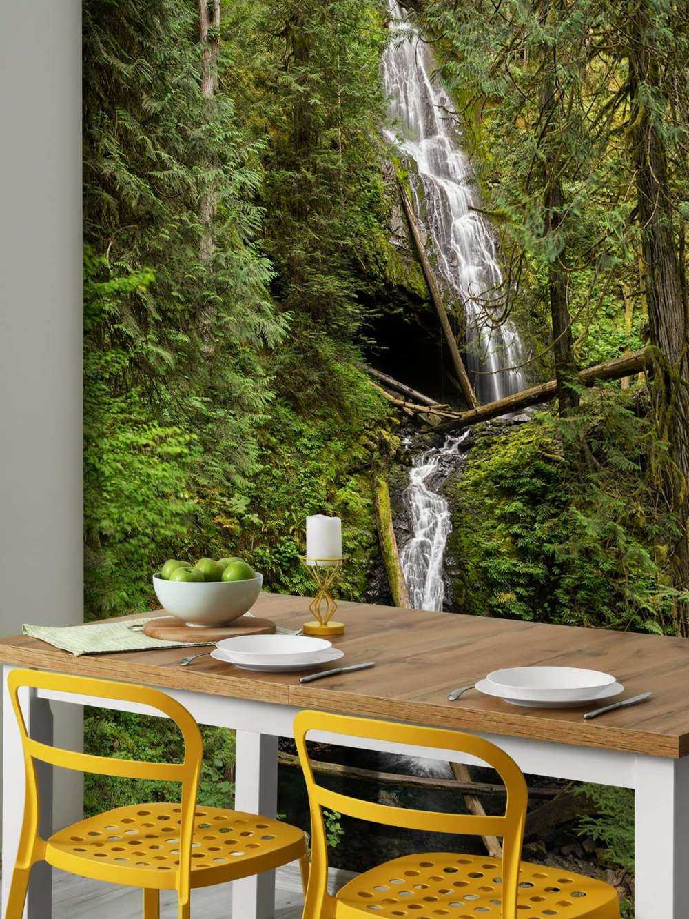 Waterfall with fallen trees