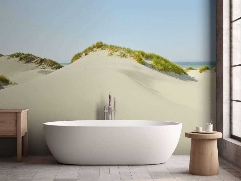 Dunes on the beach