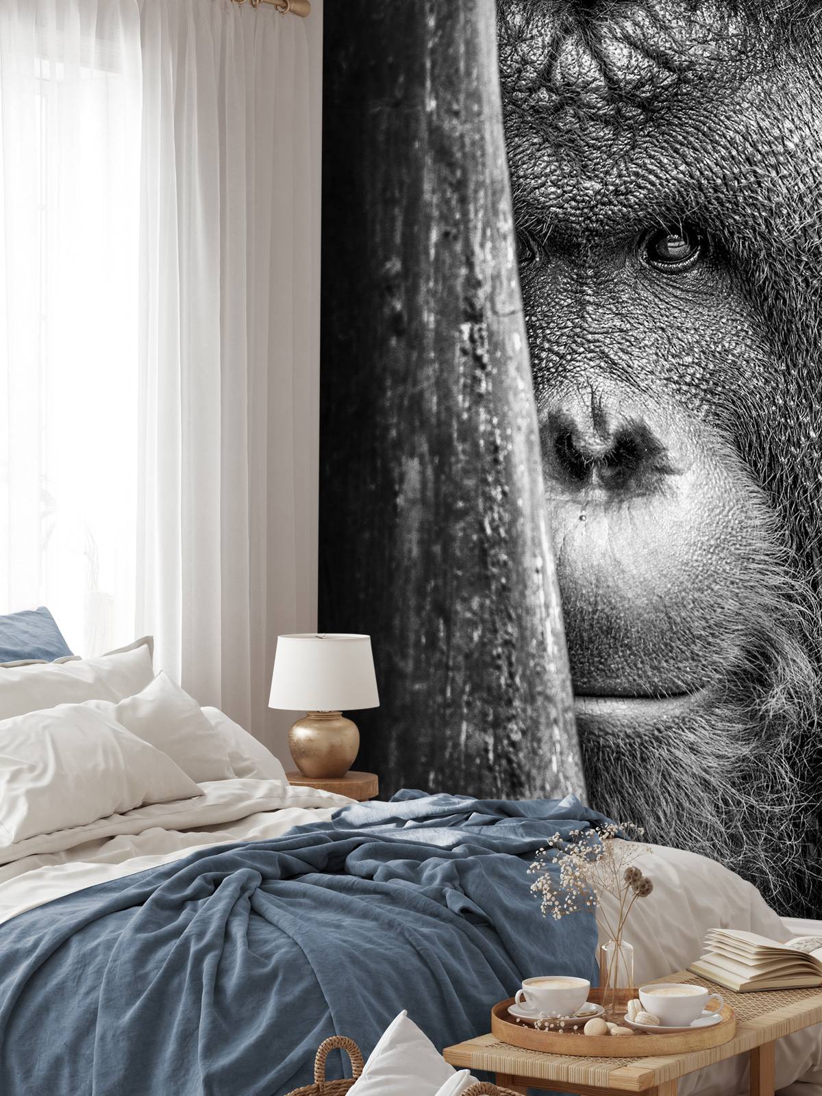 Orangutan black and white