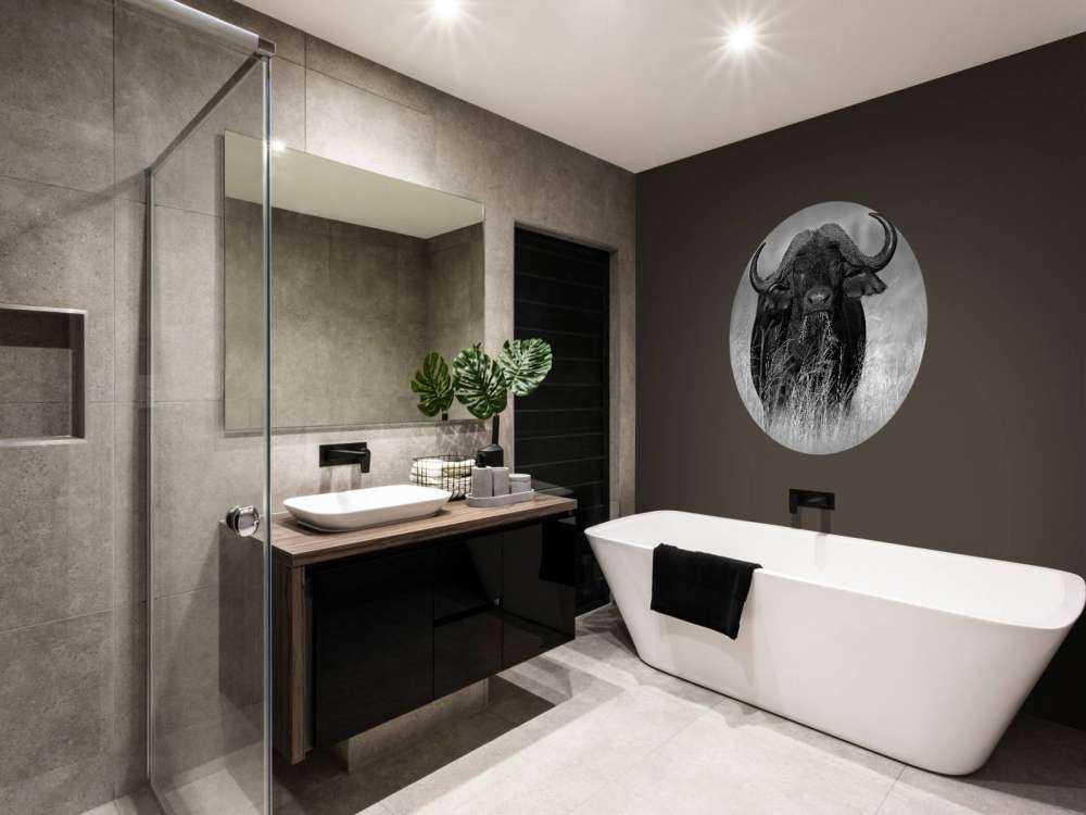 Buffalo in black and white