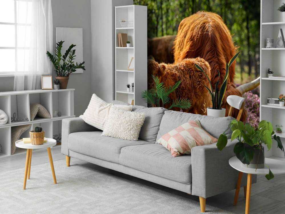 Family Scottish Highlanders