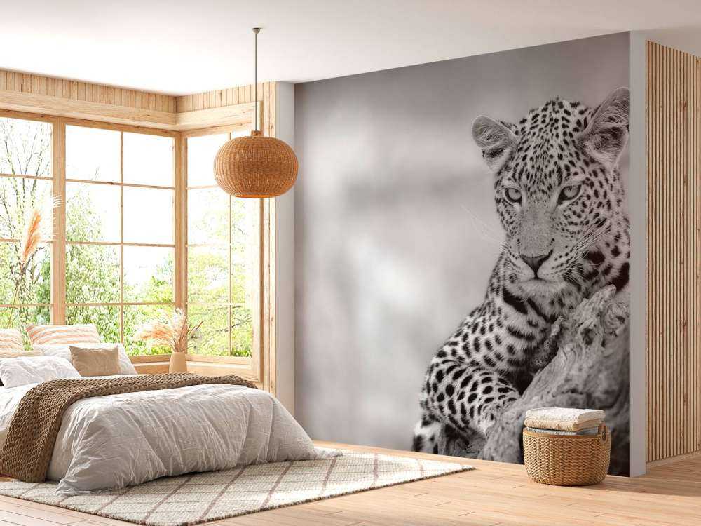Leopard black, white