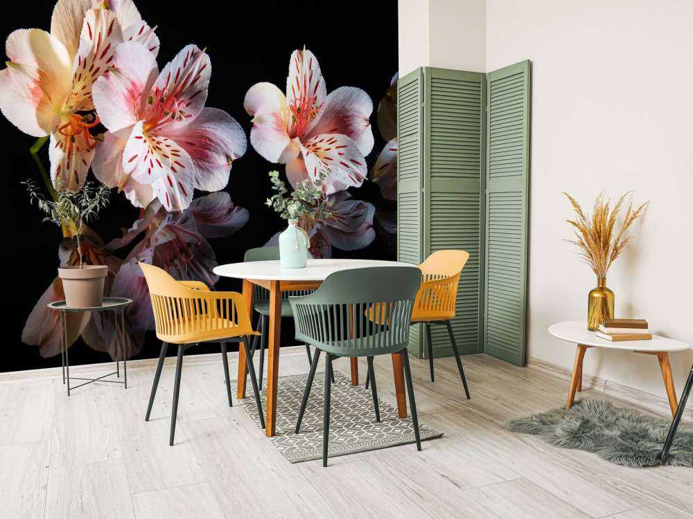 Alstroemeria flowers with reflection