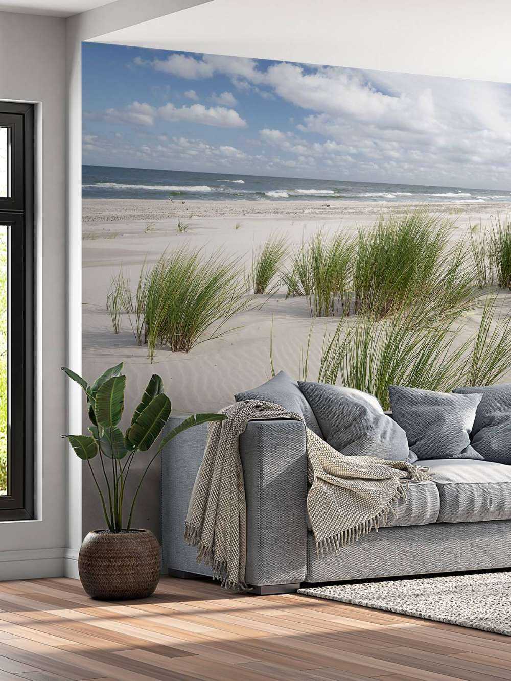 Beach with dune plants